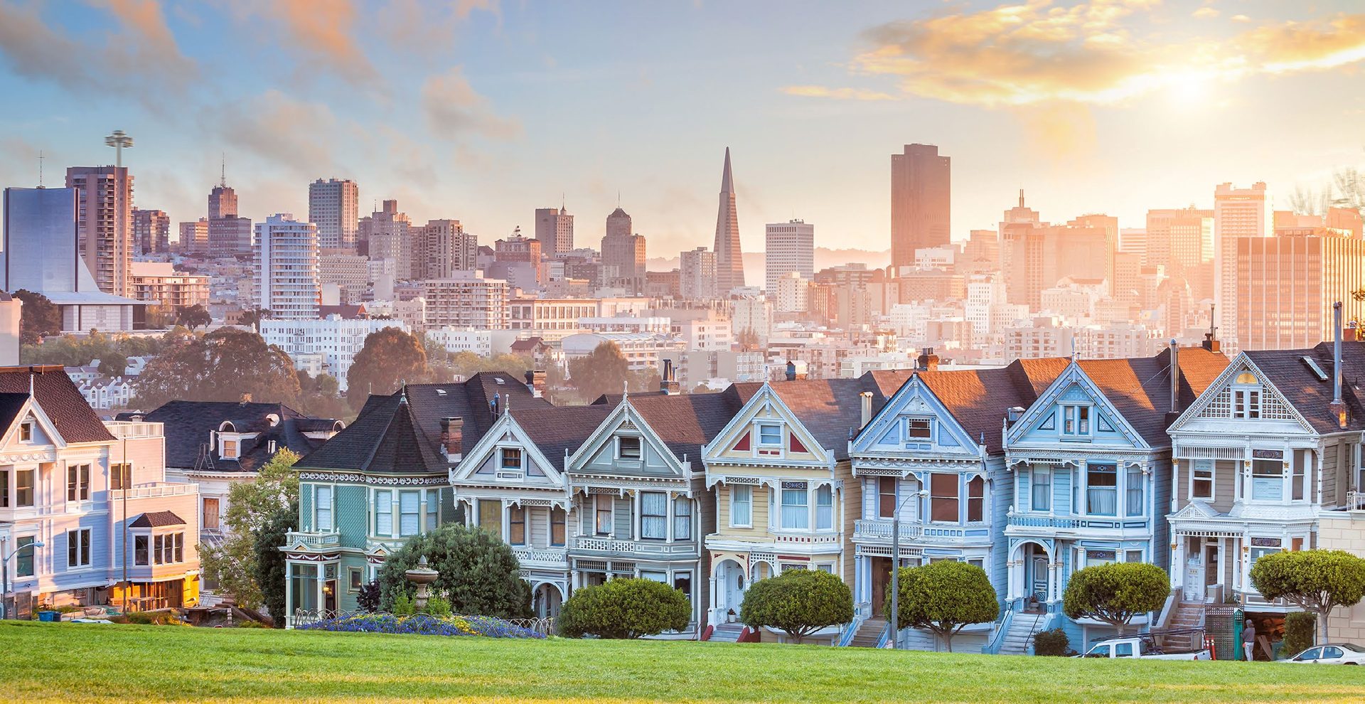 Painted Ladies and the San Francisco skyline